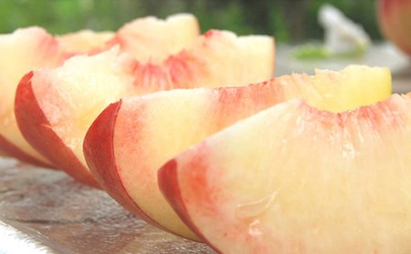 《先行予約 2026年度発送》【山形県産】白桃5kg(小玉20～25玉) もも モモ 桃 デザート フルーツ 果物 くだもの 果実 食品 山形県 FSY-0389