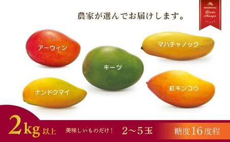 マンゴー【 先行予約 : 2026年7月頃より順次発送 】 完熟マンゴー 2kg