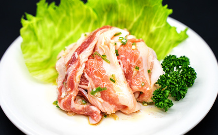 豚バラ 特製塩だれ 国産 豚 スライス 小分け 170g ×5個 大阪 冷凍 豚肉 お肉 肉 焼肉 バーベキュー BBQ 惣菜 おかず お弁当 真空パック 