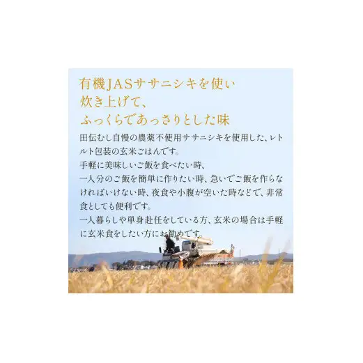令和7年産 有機ササニシキ玄米ごはん 160g × 20個 ご飯パック ご飯パック ご飯パック ご飯パック ご飯パック ご飯パック ごはん レトルト パックご飯 ごはんパック 有機玄米 レンジ 調理 電子レンジ 長期保存 保存食 非常食 災害 米 お米 玄米食 農薬不使用 宮城県 石巻 石巻市