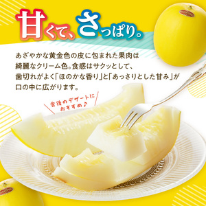 ★予約受付★（2026年5月以降発送）玄海町産キンショウメロン 4個 ／ メロン【A033】