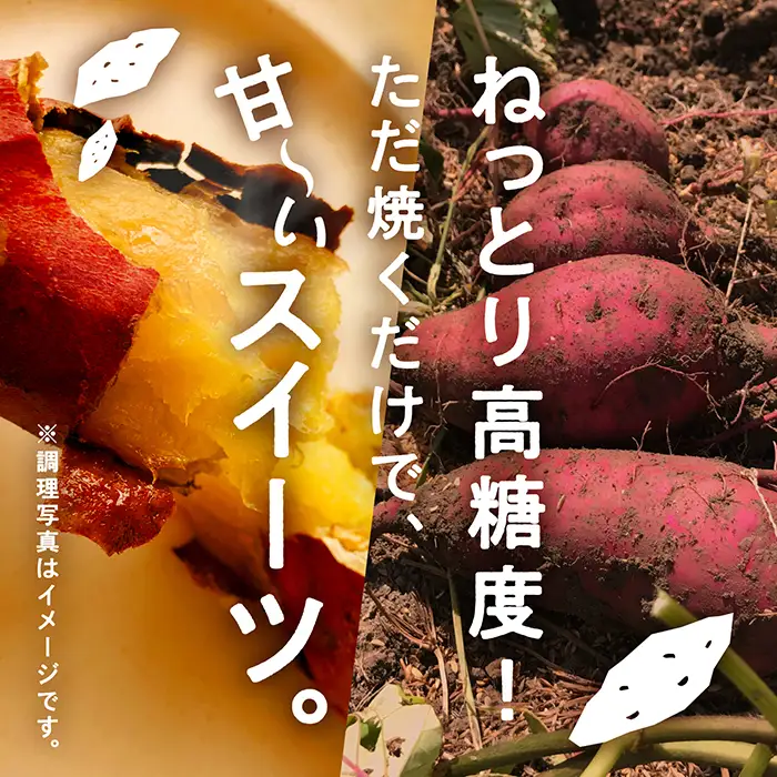 【先行予約】 紅はるか 2.5kg ねっとり甘～い おいもさん【農薬・化学肥料不使用】