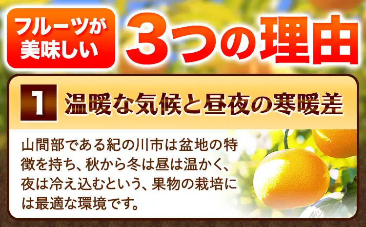 ご家庭用 はっさく 約5kg (サイズ不選別) 