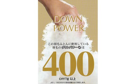 No.430 【アクアチタン含浸羽毛布団】綿100％サックス【n0430_del_A】