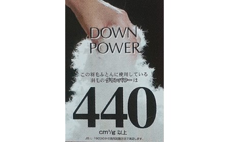 No.434 【羽毛プレミアム300双糸サテン生地掛布団】綿100％ブルー【n0434_del_A】