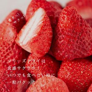 形も味も生のまま！武下さんちの完熟あまおうフリーズドライ 20g×3袋セット 赤いVIPボックスに入れて！