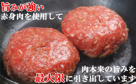 おおいた和牛 ハンバーグ (170g×6)【ニード牧場】 高級 国産 ブランド 牛肉 九州 大分県 冷凍 黒毛 和牛 豊後牛 人気 お肉 日本一 受賞 お楽しみ 旨み カレー おすすめ ランキング ＜129-002＞