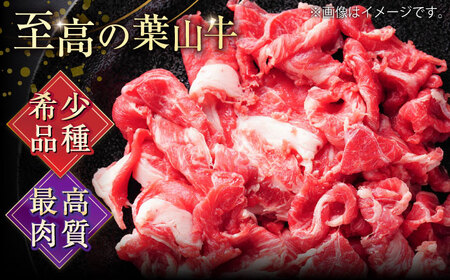 葉山牛 牛肉切り落とし300g×2パック [AKAG001]切り落とし