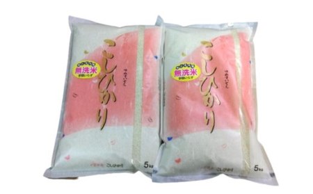 No.2499大文字屋米穀店【令和7年産】コシヒカリ精米（無洗米）1等米 10kg