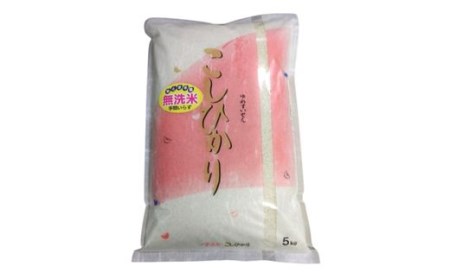 No.2500大文字屋米穀店【令和7年産】コシヒカリ精米（無洗米）1等米 5kg
