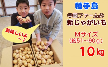 2026年 収穫  種子島 中園ファーム 新 じゃがいも Mサイズ 10kg　NFN398【350pt】