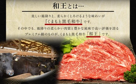 【6ヶ月定期便】 熊本県産 A5等級 黒毛和牛 和王 食べ比べ 合計約4kg 牛肉 セット