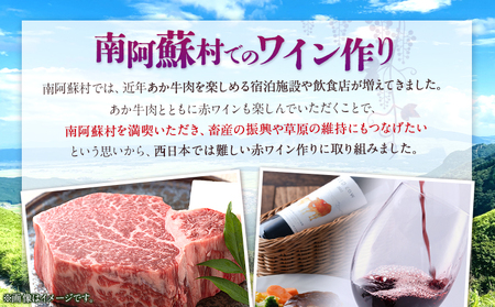 南阿蘇村産ぶどう100%使用 赤ワイン RED cow 1本 750ml《30日以内に出荷予定(土日祝除く)》熊本県 南阿蘇村 カベルネ・ソーヴィニヨン ヤマ・ソーヴィニヨン ワイン 酒 お酒
