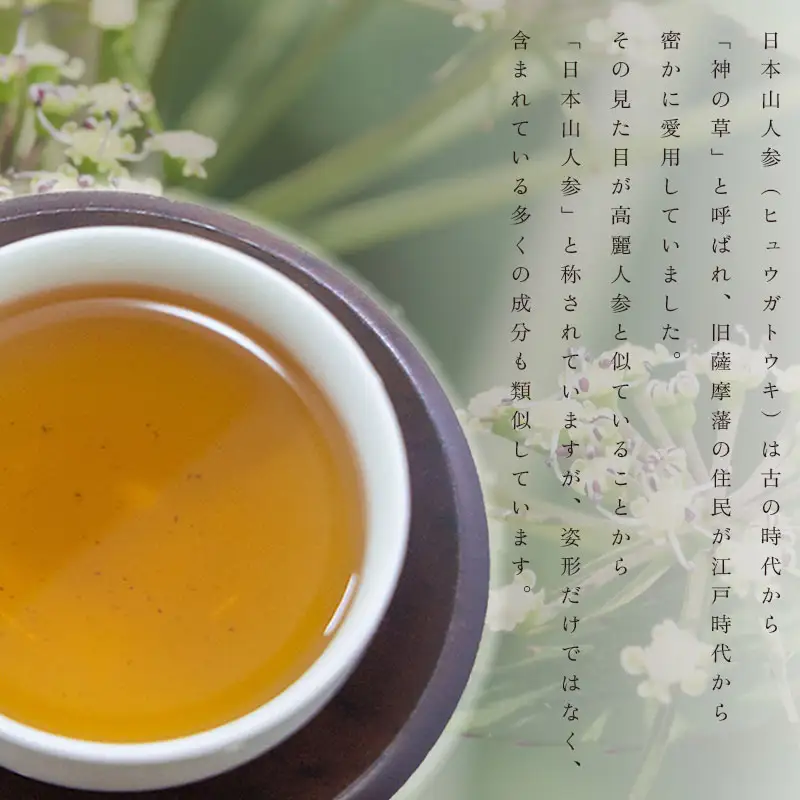 「我鹿農園」我鹿(あか)のお茶 日本山人参茶1袋(80g) 4C1