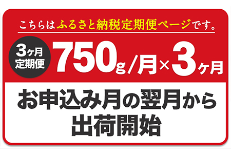 【3ヶ月定期便】ふるの牛（黒毛和牛）特選サーロインステーキ 750g(250g×3枚) ゲランド塩付き A5 有限会社ふるの《お申込み月の翌月から出荷開始》 福岡県 鞍手郡 鞍手町 3回お届け 計3回 定期便 2kg以上