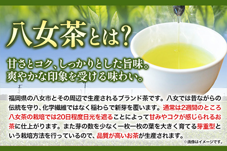八女茶 煎茶ペットボトル 500ml×24本 株式会社親和園《30日以内に出荷予定(土日祝除く)》福岡県 鞍手郡 鞍手町 お茶 緑茶 茶 八女茶 ペットボトル 送料無料