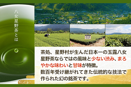 八女茶 煎茶ティーバッグ 計200パック (3g×100パック入り×2袋) 株式会社親和園《30日以内に出荷予定(土日祝除く)》福岡県 鞍手郡 鞍手町 お茶 緑茶 茶 八女星野茶 ティーパック ティーバッグ 八女茶 送料無料
