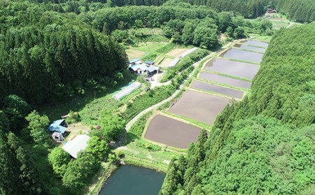 【ふるさと納税】 ＜2回定期便春・夏＞米粉のおやつ グルテンフリー色どりお米のマフィン 6種セット F21T-197
