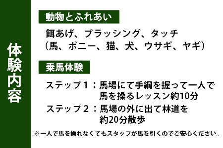 動物ふれあい＆乗馬体験 『わくわくコース』約30分 1名【徳島県 那賀町 乗馬 馬 動物 体験チケット 体験型 観光乗馬 ふれあい 観光 旅行 遊び アクティビティ お出かけ レジャー アウトドア アニマルセラピー 癒し リフレッシュ クラブコルツ】CC-2