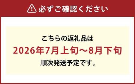 【加温栽培】岡山県産マスカット・オブ・アレキサンドリア1房入り（1房750ｇ以上）【2026年7月上旬～8月下旬 発送予定】【シャインマスカット シャイン マスカット 人気フルーツ 岡山フルーツ おすすめフルーツ 岡山県 倉敷市】