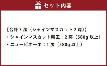 葡萄詰合せ（シャインマスカット 晴王 2房（1房 580g以上）・ニューピオーネ 1房（580g以上） 露地栽培【2026年9月上旬～10月下旬まで順次発送予定】マスカット フルーツ ぶどう 葡萄 ブドウ ピオーネ