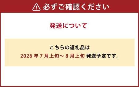 シャインマスカット晴王 2房入り（1房 580g以上） 加温栽培【2026年7月上旬～8月上旬まで順次発送予定】マスカット フルーツ 岡山フルーツ おすすめフルーツ 岡山県 倉敷市
