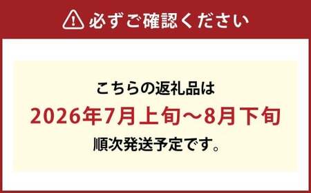【ハウス栽培】ニューピオーネ 2房入り（1房 480g以上） 【2026年7月上旬～8月下旬 発送予定】【葡萄 ぶどう ニューピオーネ 果物 フルーツ 国産 人気 おすすめ 岡山県 倉敷市】