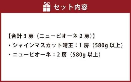 葡萄詰合せ（シャインマスカット 晴王 1房（580g以上）・ニューピオーネ 2房（1房 580g以上） ハウス栽培【2026年7月上旬～8月上旬まで順次発送予定】葡萄 ぶどう ブドウ ピオーネ マスカット フルーツ