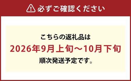 【露地栽培】岡山県産ニューピオーネ 3房入り（1房580g以上）【2026年9月上旬～10月下旬 発送予定】【葡萄 ぶどう ニューピオーネ 果物 フルーツ 国産 人気 おすすめ 岡山県 倉敷市】