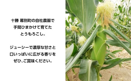 2026年発送先行予約 北海道 十勝 幕別産 とうもろこし 恵味ゴールド 20本「じゅんかん育ち」北王農林［十勝BISTRO下水道プロジェクト］【 とうもろこし とうきび コーン 野菜 フルーツ 甘い 】