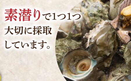 対馬 蒸し貝 缶セット 計約2kg [WAD007] サザエ さざえ ヒオウギ貝 ひおうぎ貝 牡蠣 カキ かき 壺焼き