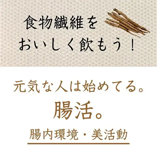 美濃山県元気ファーム　山県市産ごぼう茶120g [No.665]
