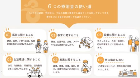 【 返礼品なし 】茨城県 八千代町 ふるさと応援寄附金 （ 100,000円 ) [ZZ006ya]