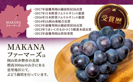 ぶどう 2026年 先行予約 オーロラ ブラック 1房 600g～700g 大粒 種無し ブドウ 葡萄 岡山県 赤磐市産 国産 フルーツ 果物 ギフト MAKANAファーマーズ 甘みが強い 香り高い デザート 