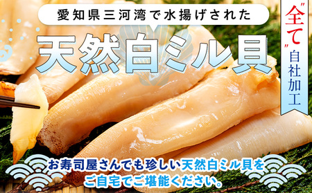 岬だより 貝専門店 天然 白ミル貝 100g×3袋 魚貝