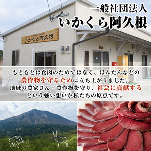 阿久根産鹿肉スライス(計1.2kg・300g×4パック)煮込み料理 バーベキュー BBQ スライス肉 ジビエ しか肉 もみじ もみじ鍋 低カロリー 高たんぱく ダイエット 鉄分 山の幸【一般社団法人いかくら阿久根】akn076-05