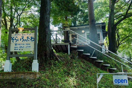 【そらいろのたね】手作りパンセット 詰め合わせ レーズン クロワッサン ジャージーミルク 木の実 チーズ クリーム セット 熊本 阿蘇 小国町 わいた 山川 人気 ハンドメイド 創業20年以上 老舗 ツリーハウス 冷凍 おすすめパンセット