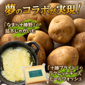 なまら十勝野 越冬 じゃがいも ラクレットチーズ 200g セット 詰め合わせ 季節限定 モールウォッシュ 良質 芳醇 熟成 野菜 ベジタブル ジャガイモ 芋 イモ 乳製品 チーズ ちーず ラクレット らくれっと 国産 国内 北海道産 道東 北海道 十勝 芽室町me000-007c