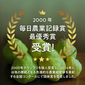 【2026年発送】極上品　大玉西洋梨約2.8㎏（4～11個） [h039]