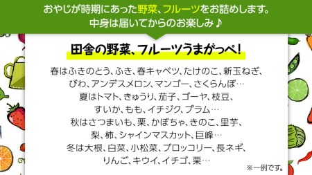 【 定期便 】 旬のフルーツ と 野菜 の セット 毎月1回1年コース(計12回) 