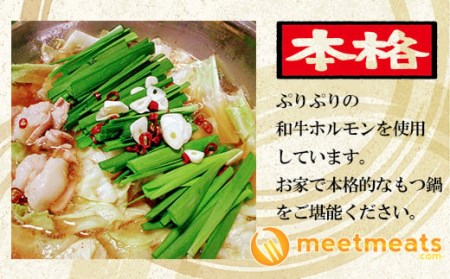 【和牛もつ鍋】5~6人前 もつ鍋 MTM012