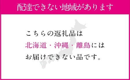 桃 2026年 先行予約 岡山の白桃 300g以上×6玉 白桃