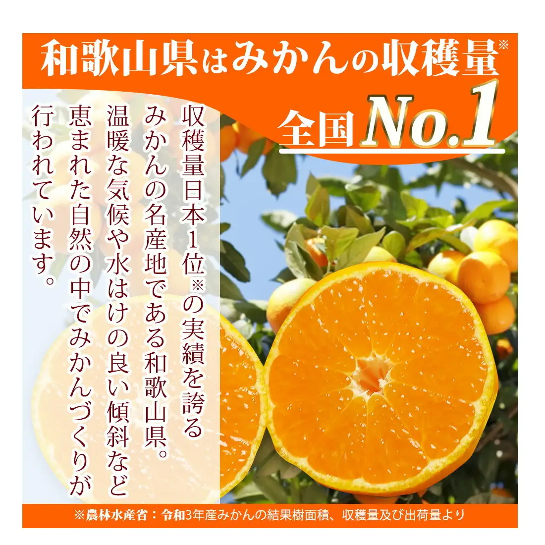 G7342_【2026年先行予約】高級ブランド 田村みかん 約5kg【家庭用 訳あり】