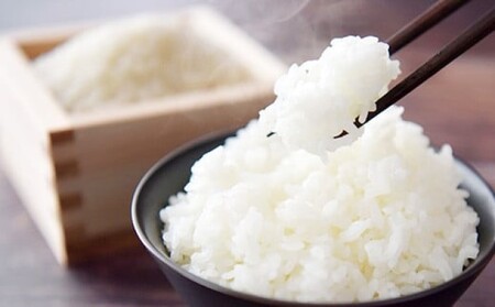 R7年度産 米 5kg 発送当日に精米します 小郡産 特A 特別栽培米 ひのひかり　白米 コメ 福岡県 お米 精米 ご飯 ごはん ヒノヒカリ国産 国産米 グルメ 食品