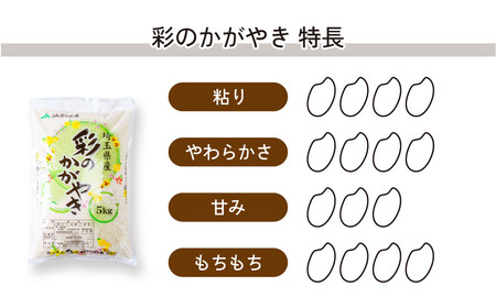 米 令和7年産 彩のかがやき・彩のきずな 各5kg 計10kg | 白米 米 桜国屋