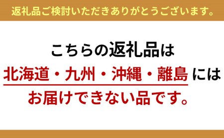 Nordicモデル（中）セット