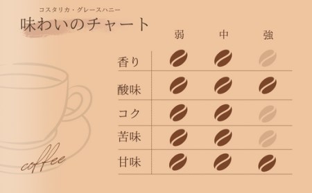 【自家焙煎】カフェ・フランドル コスタリカ・PNグレースハニー（200g・豆） 2025/9/19～