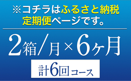 6ヶ月定期便 “九州熊本産”オールフリー２ケース（350ml×48本）阿蘇の天然水100％仕込 お酒 ノンアルコール 熊本県御船町《お申込み月の翌月から出荷開始》定期便 定期 計6回 