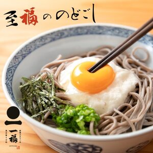 奥出雲そば一福 八割生そば大和芋セット（10人前）【蕎麦 ソバ とろろ だし付き 贈答用 ギフト 年越し Ｂ-23】
