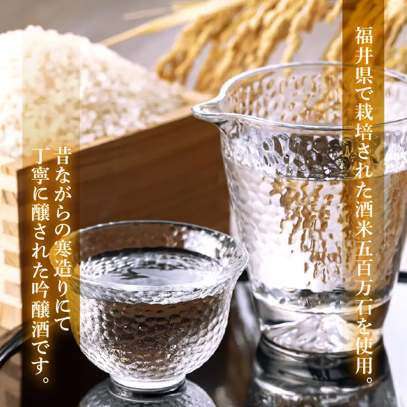 吟醸酒 福井の地酒「飛鳥井」氷温保存 冷酒セット 計1.8L（300ml × 6本）本生酒 精米歩合60%【日本酒】 [e19-a004]